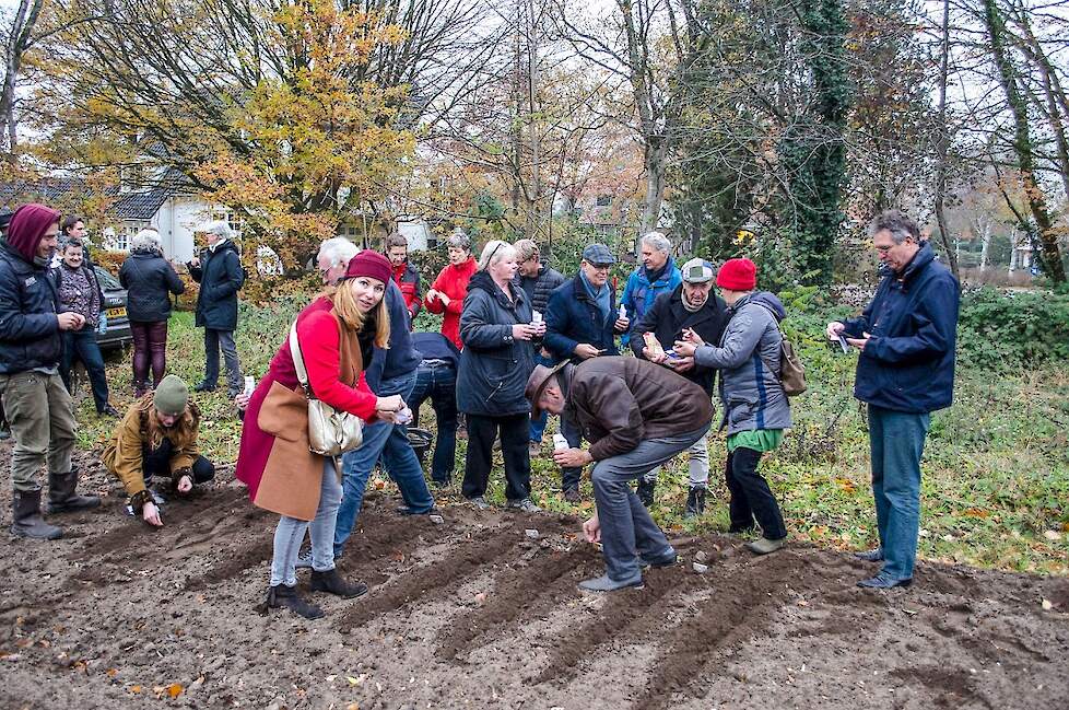 Burgers aan het boeren. 