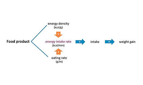 Zowel de energiedichtheid van een voedingsmiddel als de snelheid waarmee het wordt geconsumeerd zijn van invloed op iemands energieopname en in het verlengde daarvan op eventuele gewichtstoename.